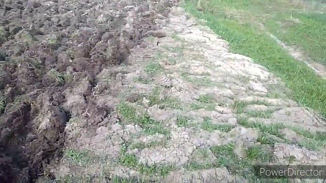 Пашем целину ч-2, минитрактором 4×4 переломка, аналог т-16. смотреть онлайн