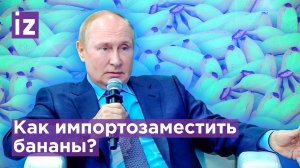 Импортозамещение - не панацея: Путин на примере бананов объяснил суть развития экономики / Известия