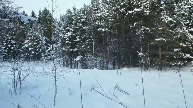 Зима в Сибири.
