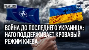 Война до последнего украинца: НАТО поддерживает кровавый режим Киева