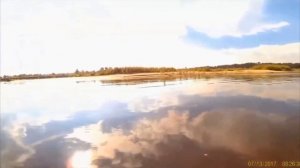 Канал "ЧЕЛОВЕК ЛЕСА Z"