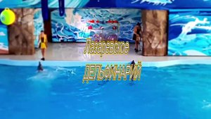 Лазаревское Дельфинарий (2018)