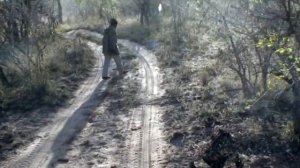 Африка 2 Ботсвана, Парк Чобе, Сафри