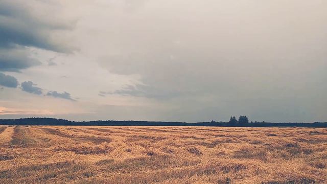 Красота полей Беларуси смотреть онлайн