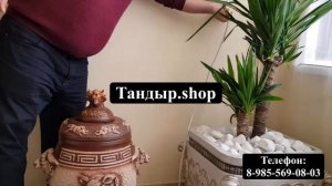 Рыба в электрическом тандыре