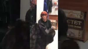 Как выбрать норковую шубу ?Скандинавская норка.