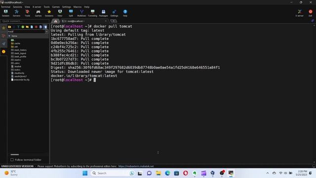 Docker Basics: Running Your First Container