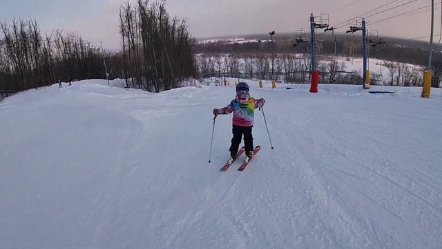 Горные лыжи. Начальная подготовка 1