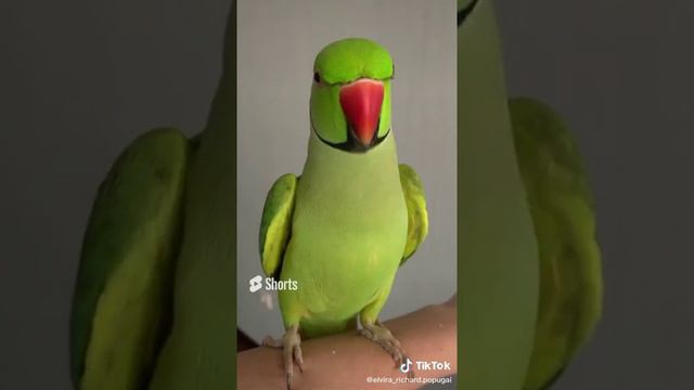 1 октября 2022 г. (2).mp4 смотреть онлайн