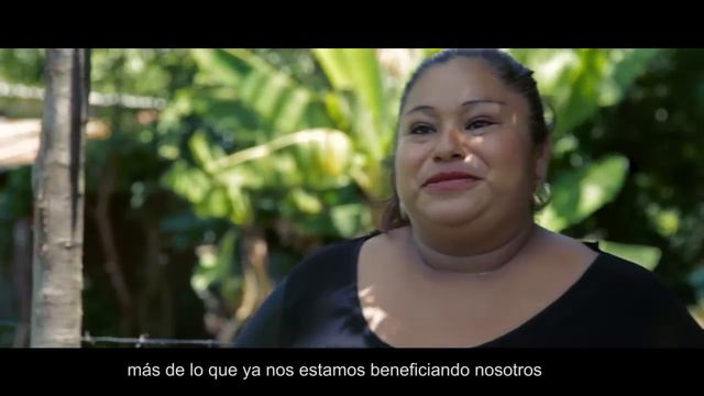 Tercer Informe de Gobierno - Stevia смотреть онлайн