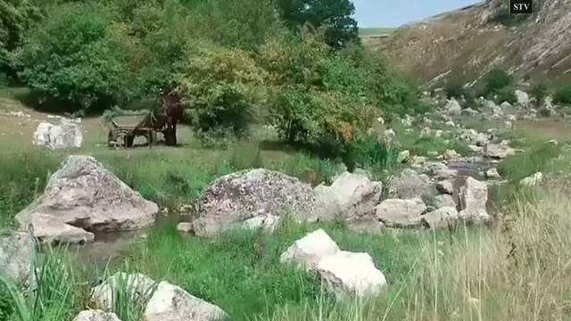 Единцы - край родной (Города и природа) смотреть онлайн