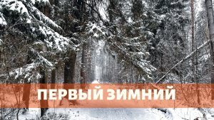 ПЕРВЫЙ ЗИМНИЙ. Уютный поход выходного дня с Кристи по маршруту  Ногинск - Воскресенское