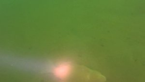 Спас Каменка 5