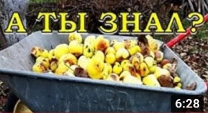 Дача в НОЯБРЕ: что нужно сделать???