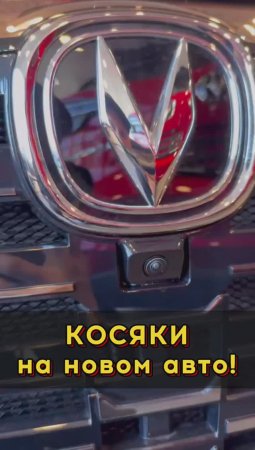 Штатный антикор от дилера #автоподборспб #автоизевропы #автоподбормосква