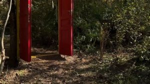 Куда сходить в Батуми? Активный отдых в Грузии.