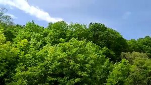 Тип-Тяв гора в Самаре в Сокольих горах самая высокая точка