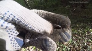 КУПИЛ место для ПОИСКА ЗОЛОТА! ОФИГЕННЫЙ РЕЗУЛЬТАТ по ЗОЛОТУ и СЕРЕБРУ!