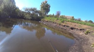 МОЙ ПРУД ЧЕРЕЗ 10 ЛЕТ !!! ПРУД СПУСТЯ 10 ЛЕТ !!!