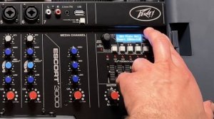 ?Стерео комплект для выступлений. Идеально для миди баяна, гармони и поющего ведущего тамады!