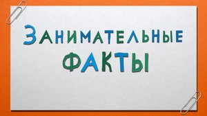 Занимательные факты #2