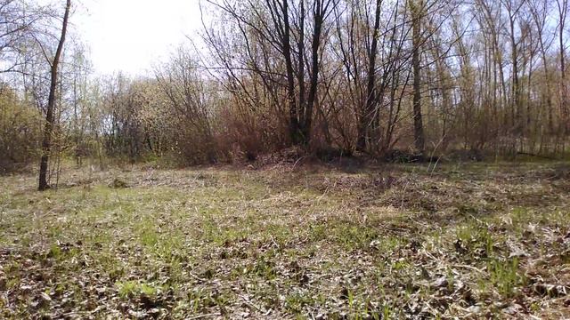 "Война миров!" смотреть онлайн