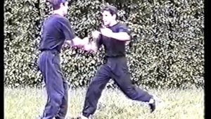 БОЕВЫЕ СВЯЗКИ ВИН ЧУН