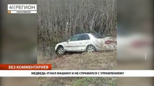 •БЕЗ КОММЕНТАРИЕВ: МЕДВЕДЬ УГНАЛ МАШИНУ И НЕ СПРАВИЛСЯ С УПРАВЛЕНИЕМ?•