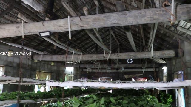பட்டு புழு வளர்ப்பு Sericulture - 18 நாட்களில் அதிக வருமானம் தரும் பட்டுப்புழு வளர்ப்பு