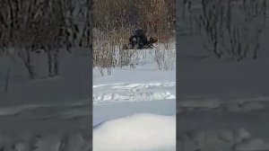 Снегоход WIND 320 4T.