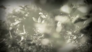 Карина Габриэлян ♬ Love song