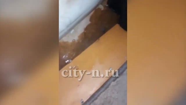 Квартиру новокузнечан топит через дыру в крыше смотреть онлайн