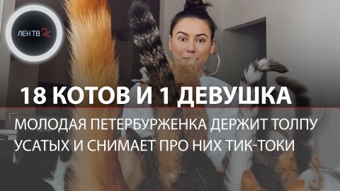 18 котов живет у петербурженки в квартире | Видео