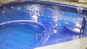 Ребенок захлебнулся в бассейне во время занятий по плаванию в Набережных Челнах