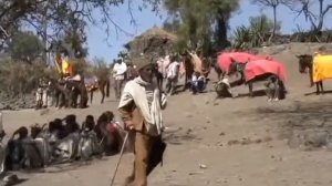 Золотой глобус 57  Эфиопия