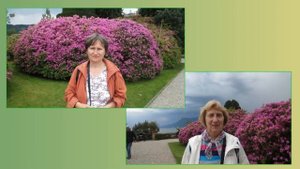 03 Озеро МАДЖОРЕ (Барромейские острова) и БОЛЬЦАНО с окрестностями