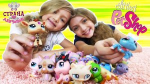 МАЙЯ и ТАЙЯ играют в "УГАДАЙ КТО" с питомцами "MY LITTLEST PET SHOP"