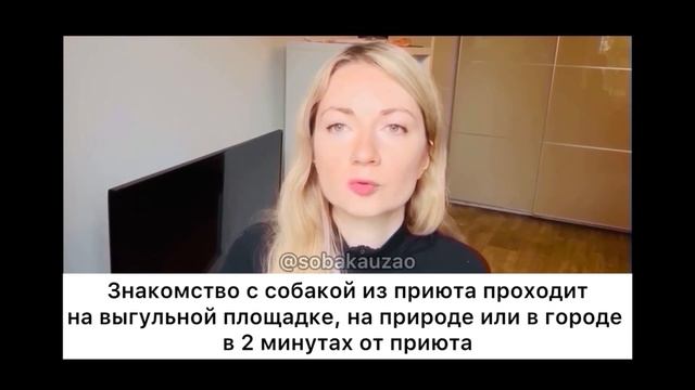 ✅✅✅КАК ВЗЯТЬ СОБАКУ ИЗ ПРИЮТА В СВОЮ СЕМЬЮ? Проект Собака Юзао. Приют «Щербинка»