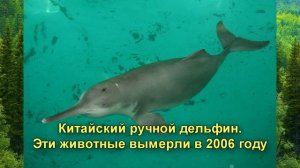 вымершие животные по вине людей