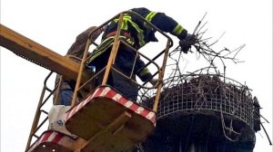 Аистам строим гнёзда, Херсонская область 2020 доброта людей, забота о птицах