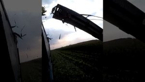 уборка кукурузы в початках бондюэль