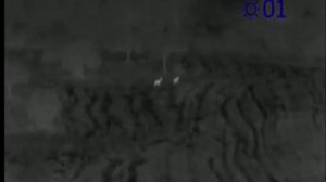 Pulsar Quantum Lite XQ30V Thermal Monocular