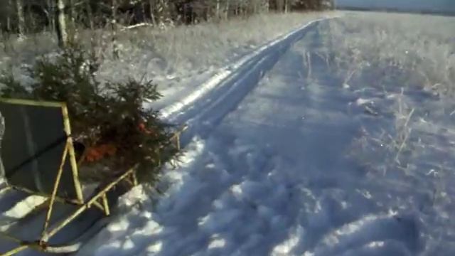 За ёлкой!!!)))))) смотреть онлайн