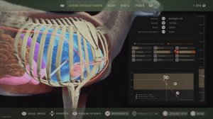 Way of the Hunter / Баллистическая камера полета пули