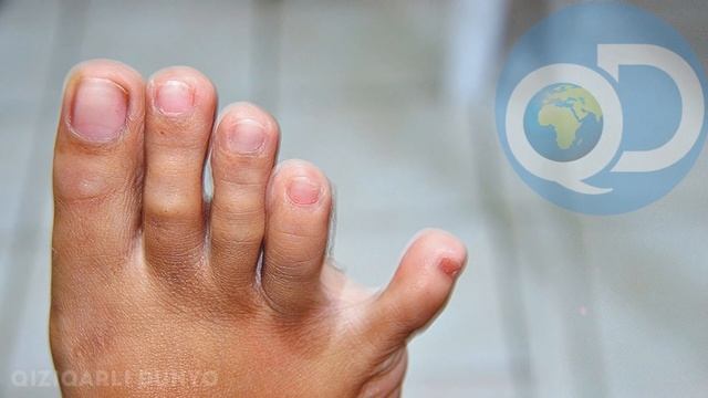 ОЁК ШАКЛИ СИЗНИ ФЕЪЛ-АТВОРИНГИЗНИ, ХАРАКТЕРИНГИЗНИ АЙТИБ БЕРАДИ / QIZIQARLI DUNYO смотреть онлайн