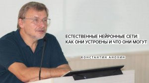 Естественные нейронные сети. Константин Анохин