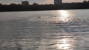 Святое озеро , Старое Косино