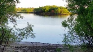 Река Тура город Тюмень