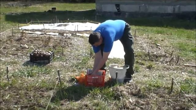 7. Ленивое земледелие. Посадка картофеля. смотреть онлайн