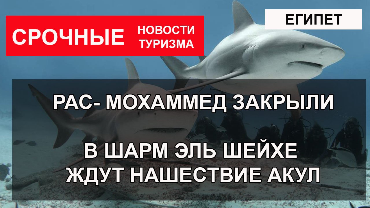 ЕГИПЕТ 2022 Рас Мухамед закрыли В Шарм Эль Шейхе ожидают нашествие акул.mp4